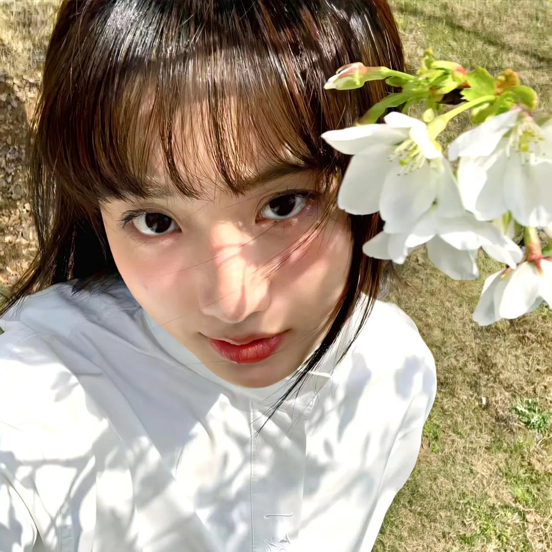 狗咬狗骨粤语